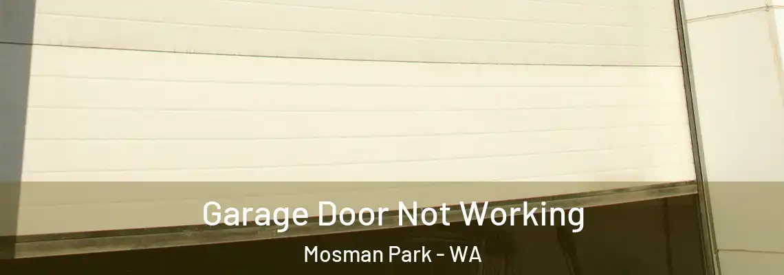 Garage Door Not Working Mosman Park - WA