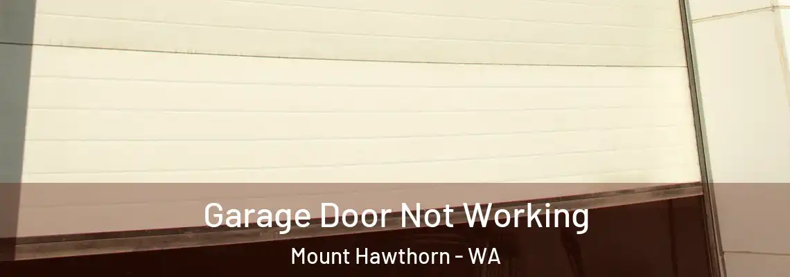 Garage Door Not Working Mount Hawthorn - WA