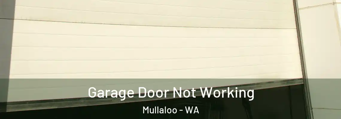 Garage Door Not Working Mullaloo - WA