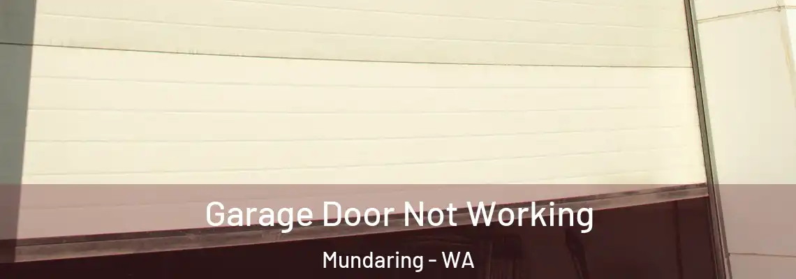 Garage Door Not Working Mundaring - WA
