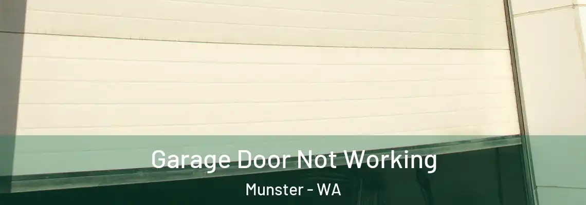 Garage Door Not Working Munster - WA