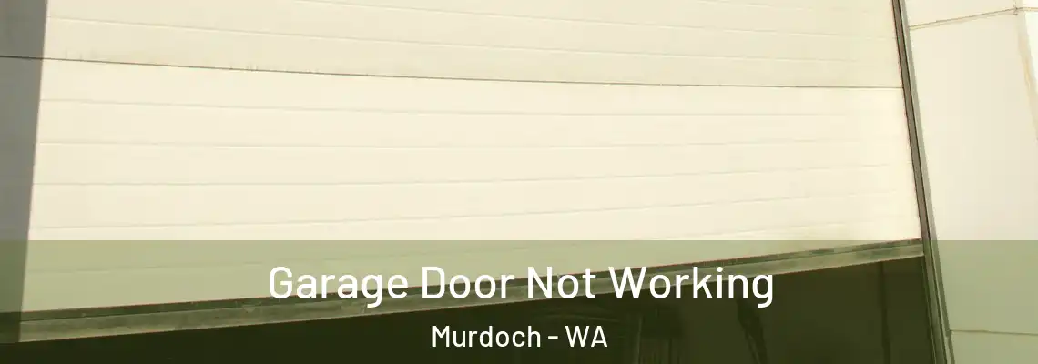 Garage Door Not Working Murdoch - WA