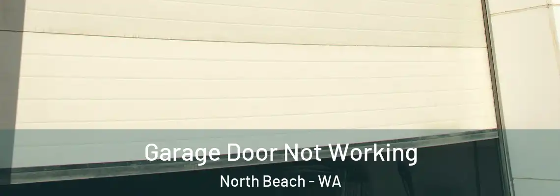 Garage Door Not Working North Beach - WA