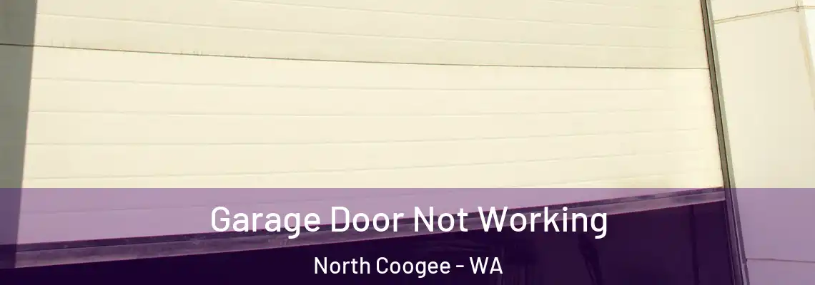  Garage Door Not Working North Coogee - WA