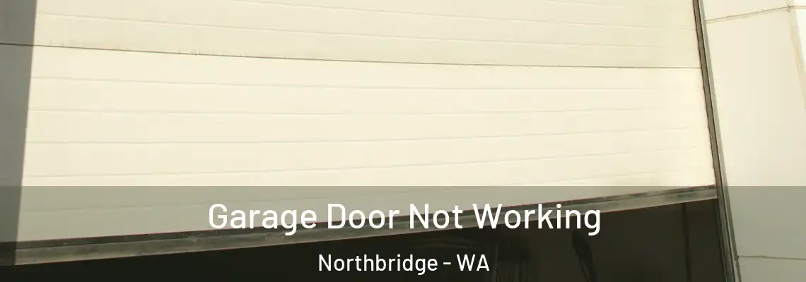 Garage Door Not Working Northbridge - WA