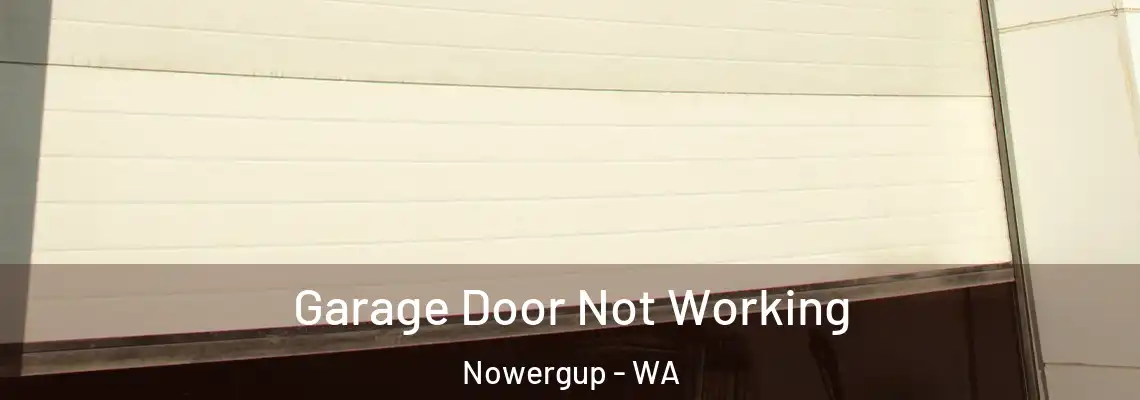 Garage Door Not Working Nowergup - WA