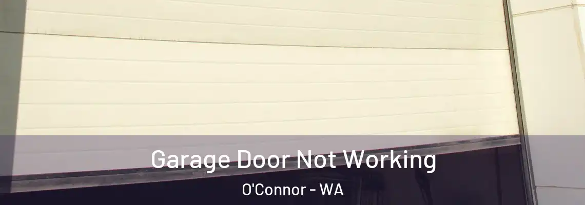  Garage Door Not Working O'Connor - WA