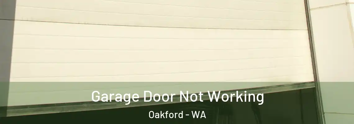 Garage Door Not Working Oakford - WA