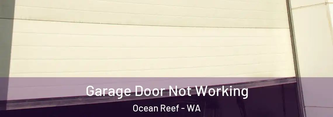 Garage Door Not Working Ocean Reef - WA