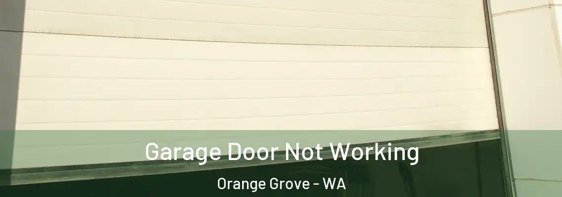 Garage Door Not Working Orange Grove - WA