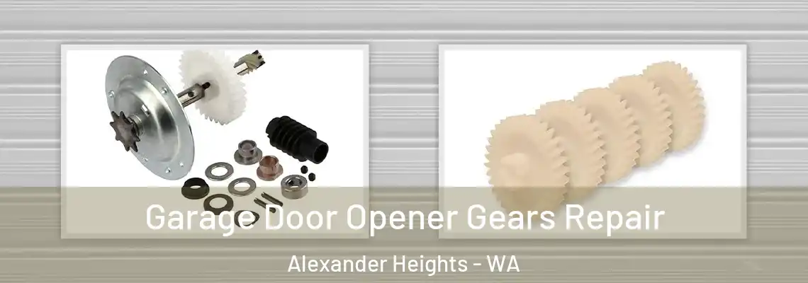 Garage Door Opener Gears Repair Alexander Heights - WA
