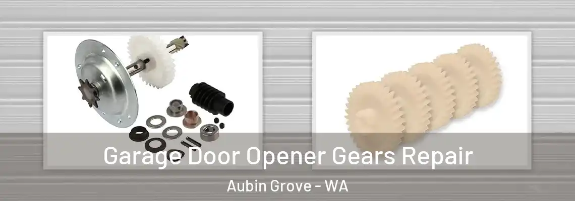 Garage Door Opener Gears Repair Aubin Grove - WA