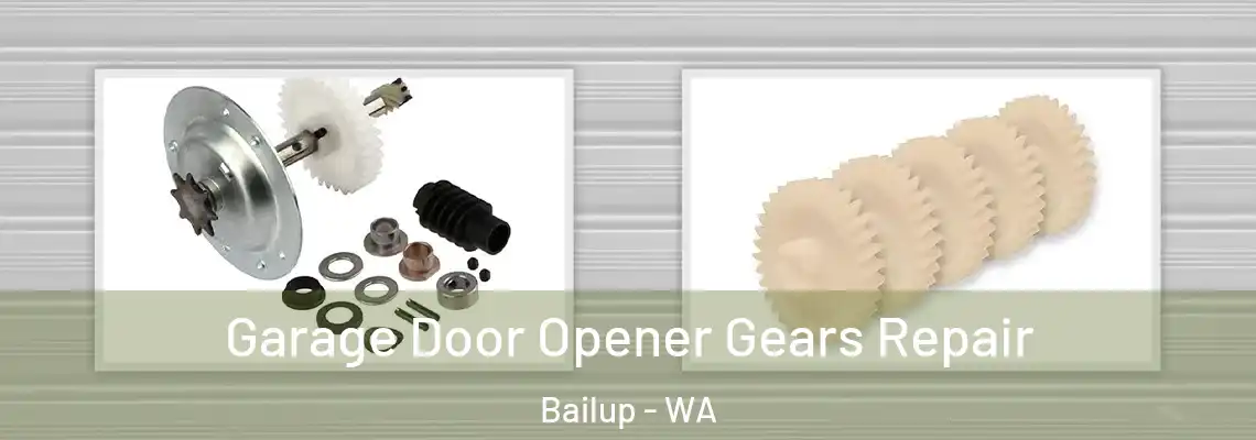 Garage Door Opener Gears Repair Bailup - WA