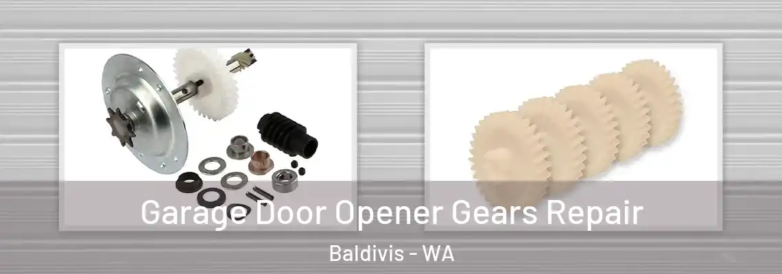 Garage Door Opener Gears Repair Baldivis - WA