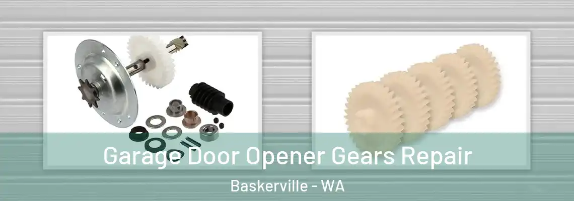 Garage Door Opener Gears Repair Baskerville - WA