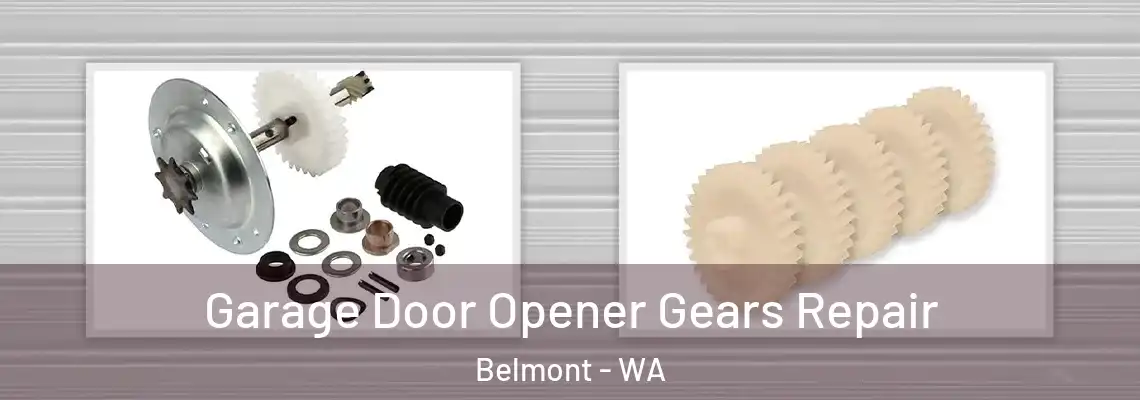 Garage Door Opener Gears Repair Belmont - WA