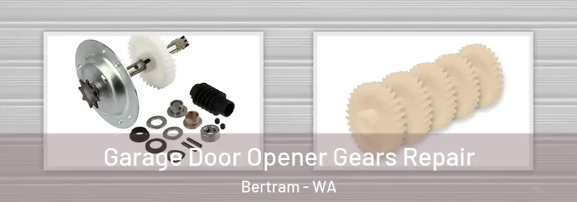 Garage Door Opener Gears Repair Bertram - WA