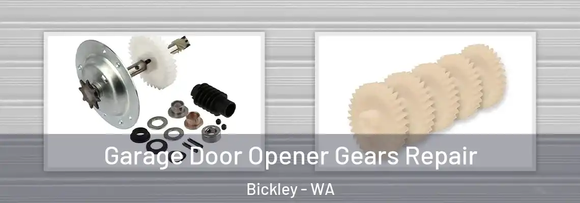 Garage Door Opener Gears Repair Bickley - WA