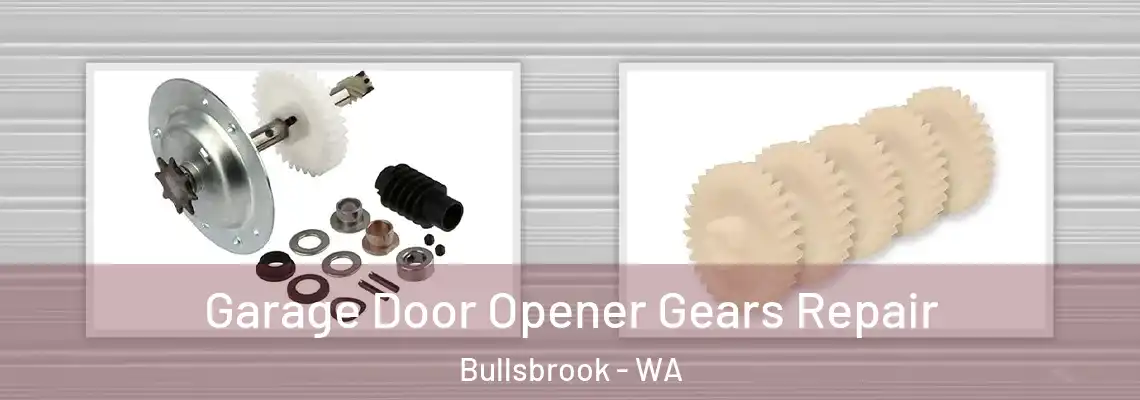 Garage Door Opener Gears Repair Bullsbrook - WA