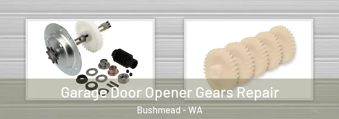 Garage Door Opener Gears Repair Bushmead - WA