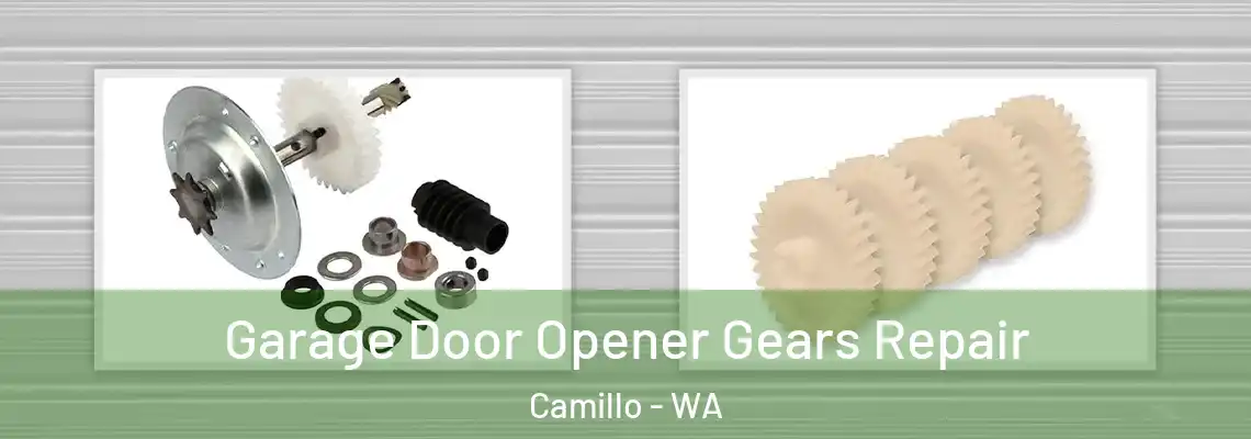 Garage Door Opener Gears Repair Camillo - WA