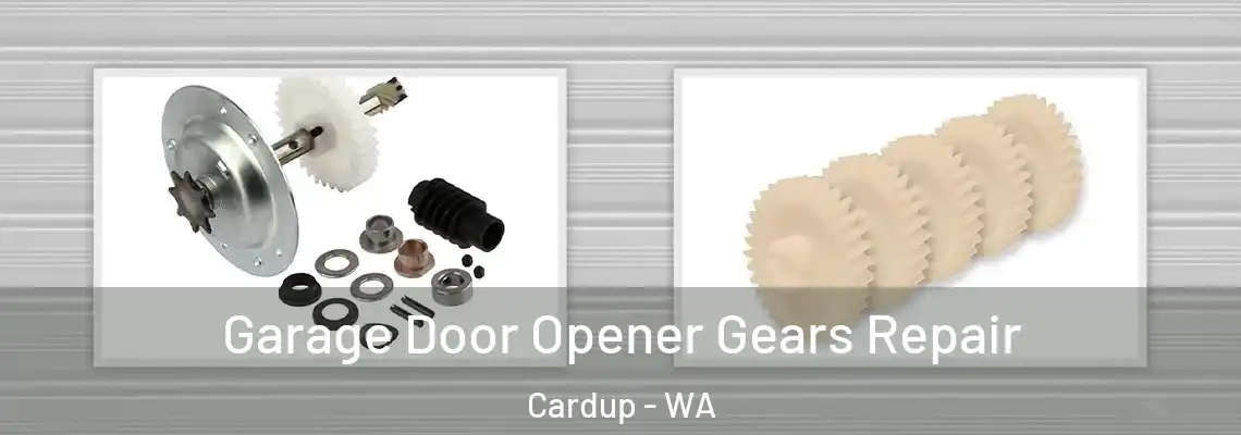Garage Door Opener Gears Repair Cardup - WA