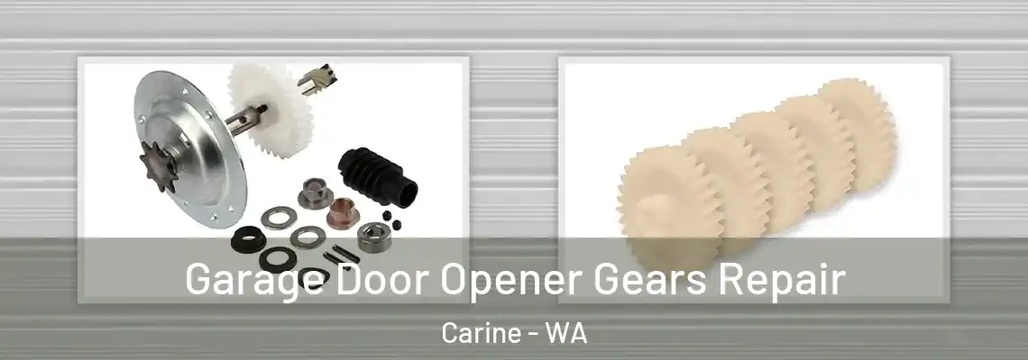 Garage Door Opener Gears Repair Carine - WA