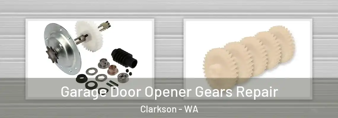 Garage Door Opener Gears Repair Clarkson - WA