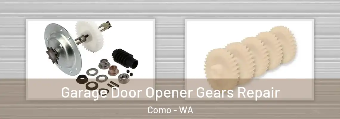 Garage Door Opener Gears Repair Como - WA