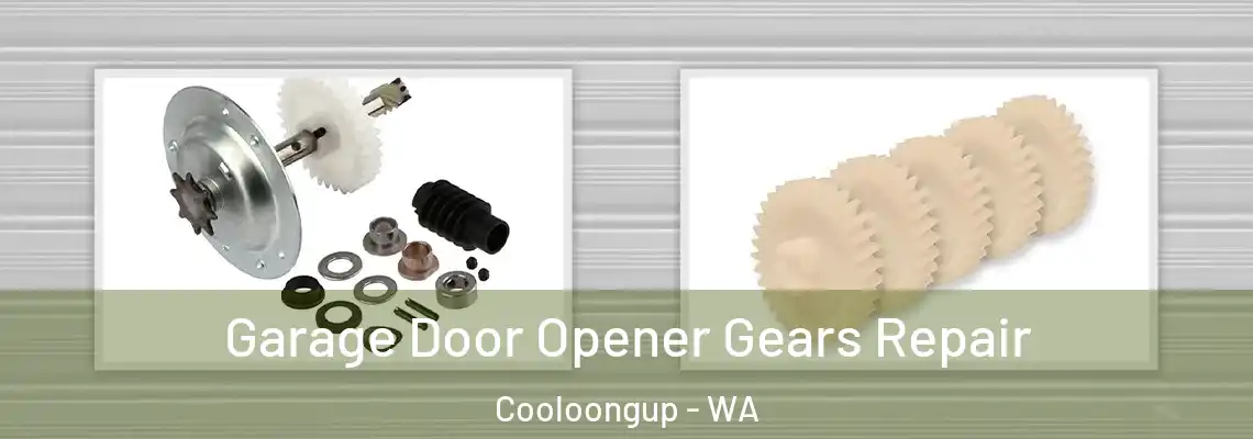  Garage Door Opener Gears Repair Cooloongup - WA