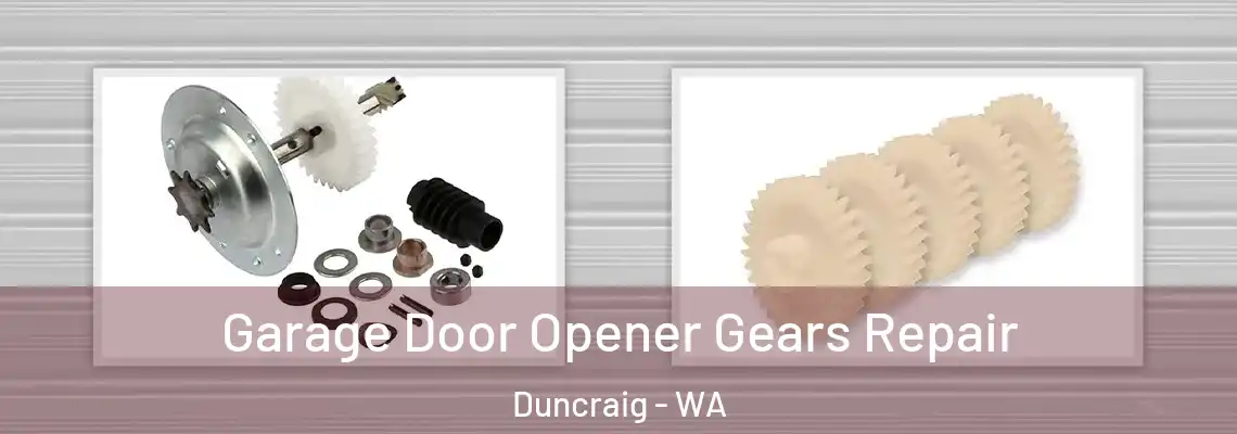 Garage Door Opener Gears Repair Duncraig - WA