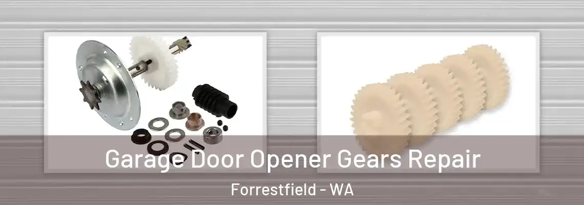 Garage Door Opener Gears Repair Forrestfield - WA