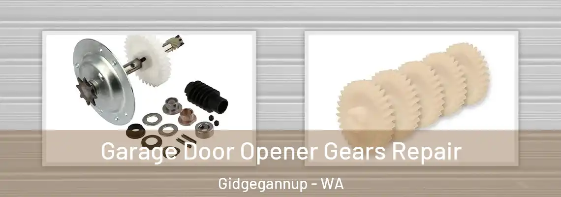 Garage Door Opener Gears Repair Gidgegannup - WA