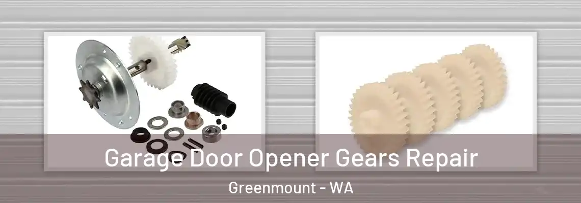 Garage Door Opener Gears Repair Greenmount - WA