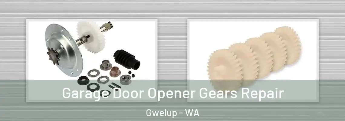 Garage Door Opener Gears Repair Gwelup - WA