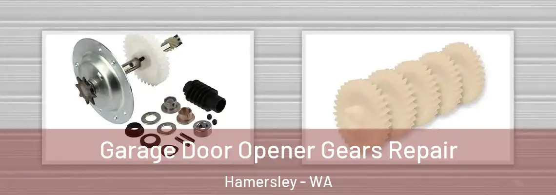 Garage Door Opener Gears Repair Hamersley - WA