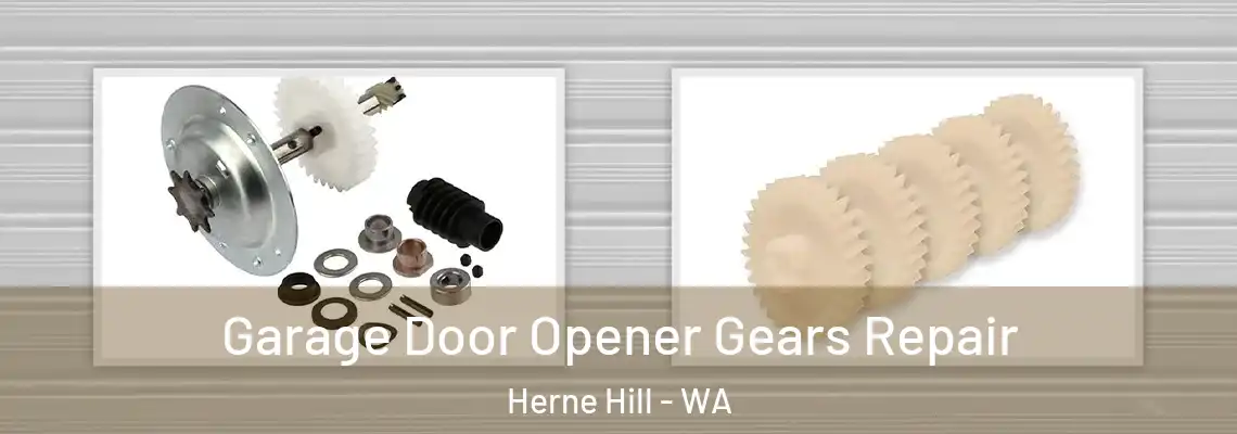 Garage Door Opener Gears Repair Herne Hill - WA