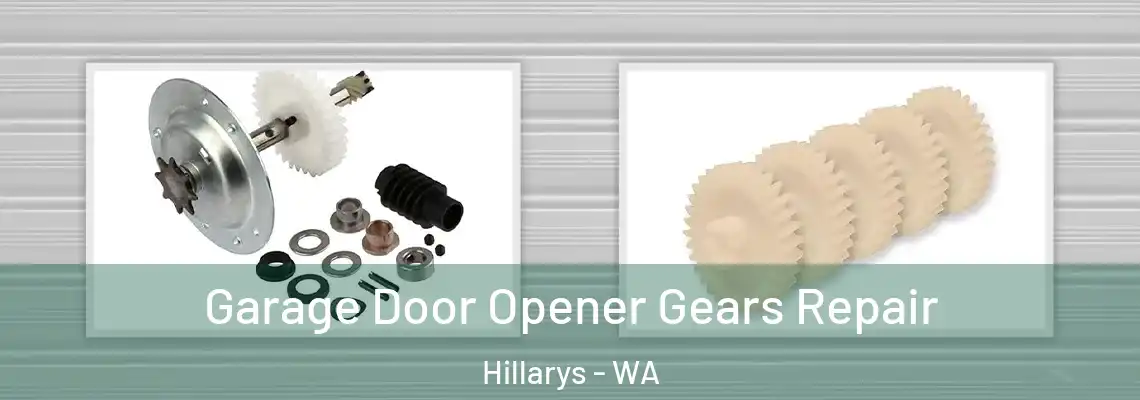 Garage Door Opener Gears Repair Hillarys - WA