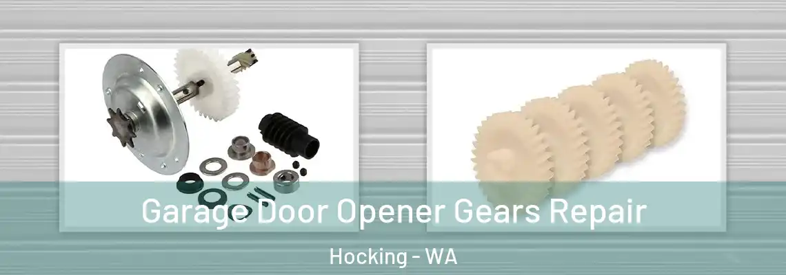 Garage Door Opener Gears Repair Hocking - WA