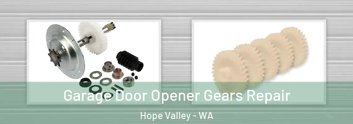 Garage Door Opener Gears Repair Hope Valley - WA