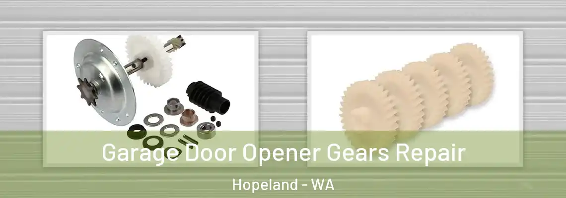 Garage Door Opener Gears Repair Hopeland - WA