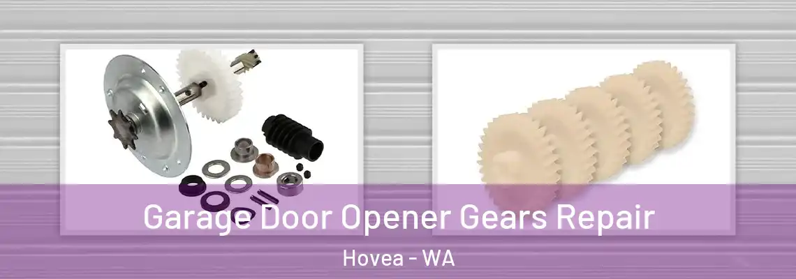  Garage Door Opener Gears Repair Hovea - WA