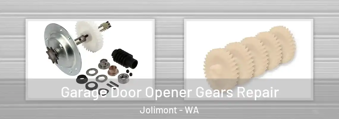 Garage Door Opener Gears Repair Jolimont - WA