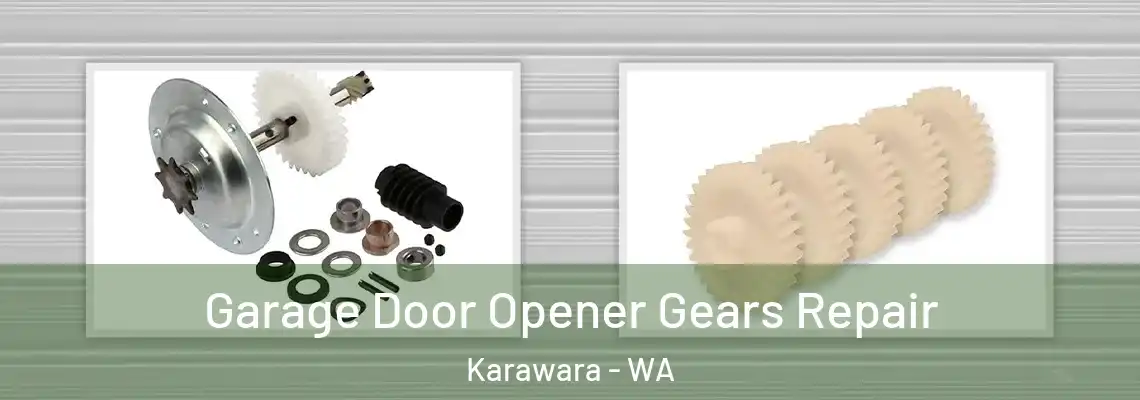 Garage Door Opener Gears Repair Karawara - WA