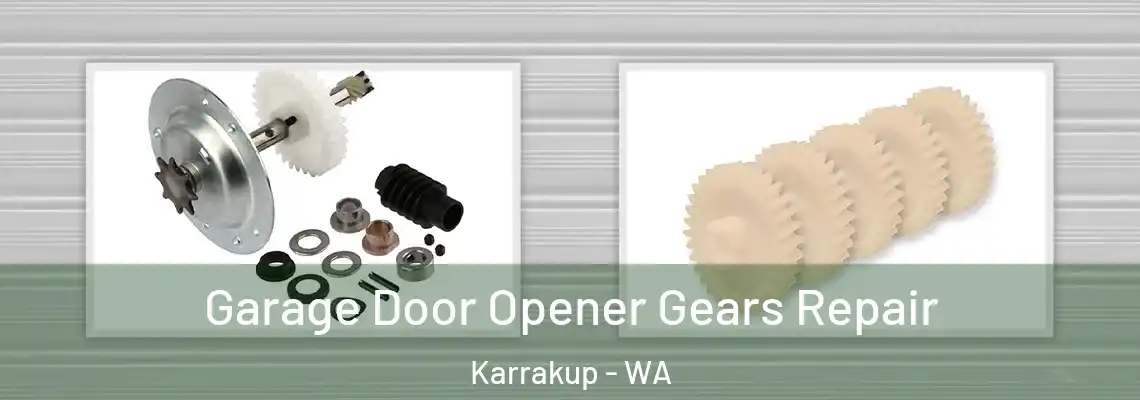 Garage Door Opener Gears Repair Karrakup - WA