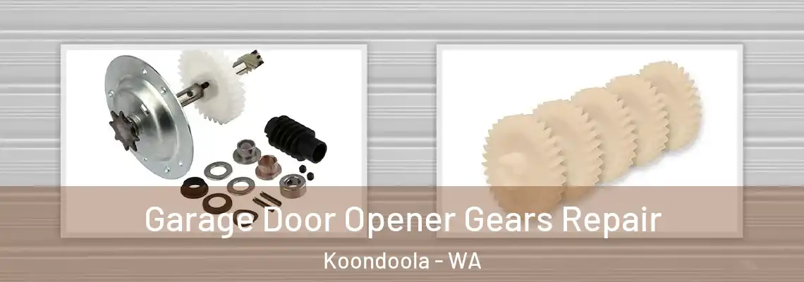Garage Door Opener Gears Repair Koondoola - WA
