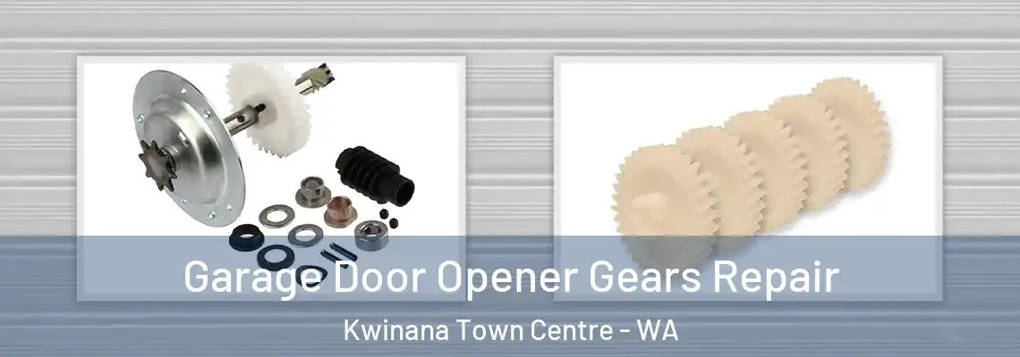 Garage Door Opener Gears Repair Kwinana Town Centre - WA