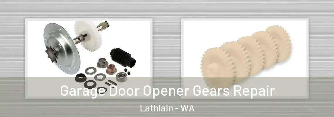 Garage Door Opener Gears Repair Lathlain - WA
