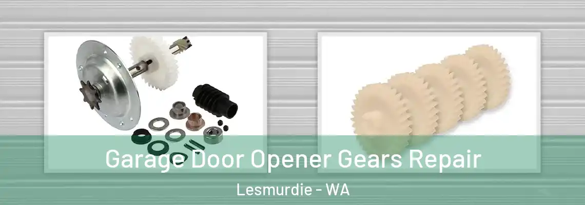  Garage Door Opener Gears Repair Lesmurdie - WA