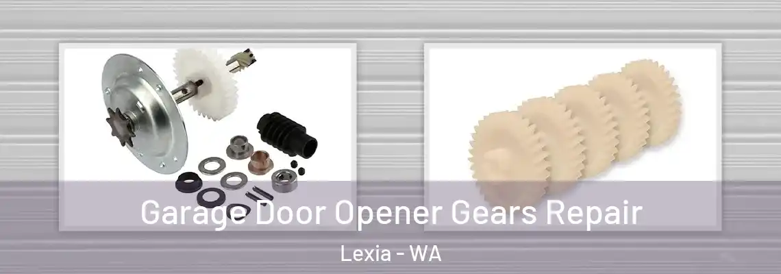 Garage Door Opener Gears Repair Lexia - WA